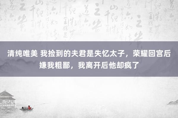 清纯唯美 我捡到的夫君是失忆太子，荣耀回宫后嫌我粗鄙，我离开后他却疯了