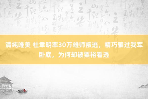 清纯唯美 杜聿明率30万雄师叛逃，精巧骗过我军卧底，为何却被粟裕看透