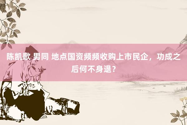 陈凯歌 男同 地点国资频频收购上市民企，功成之后何不身退？