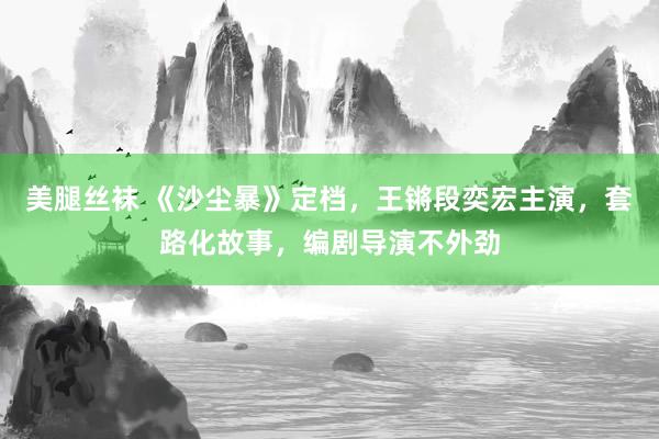 美腿丝袜 《沙尘暴》定档，王锵段奕宏主演，套路化故事，编剧导演不外劲