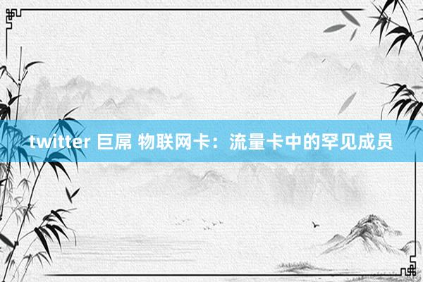 twitter 巨屌 物联网卡：流量卡中的罕见成员