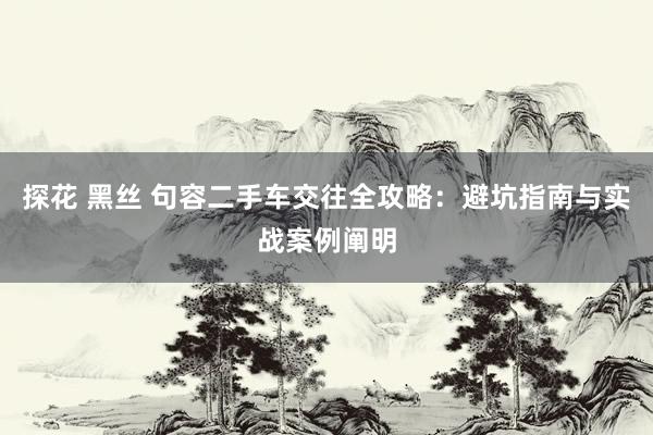 探花 黑丝 句容二手车交往全攻略：避坑指南与实战案例阐明
