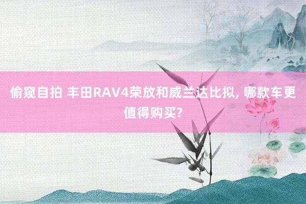 偷窥自拍 丰田RAV4荣放和威兰达比拟, 哪款车更值得购买?