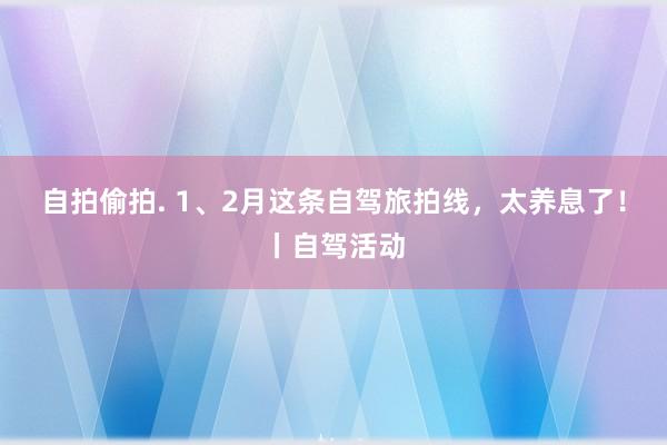 自拍偷拍. 1、2月这条自驾旅拍线，太养息了！丨自驾活动